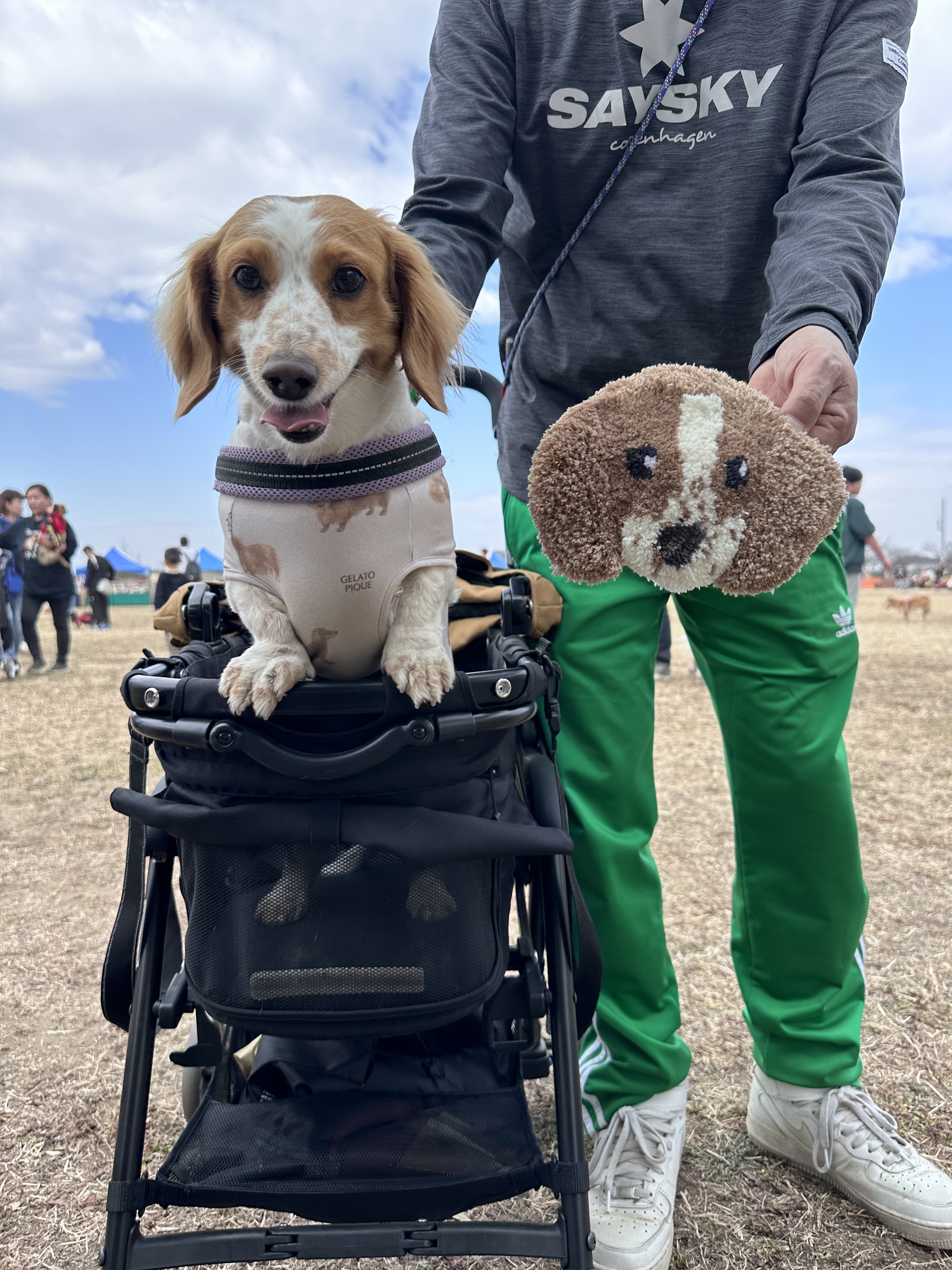 デコレーションコース